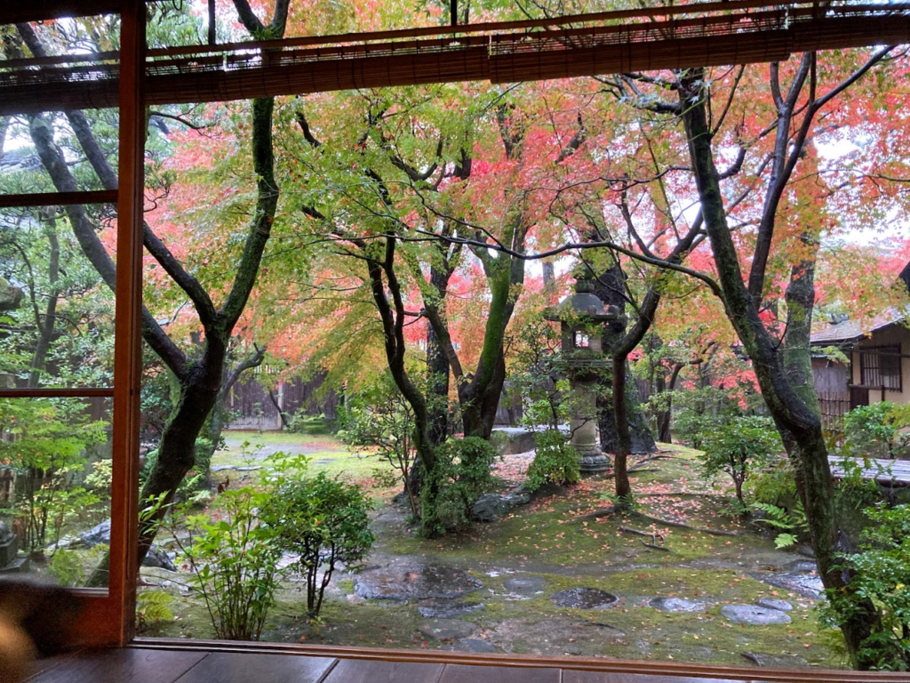 離れ座敷から見える紅葉真っ盛りの日本庭園